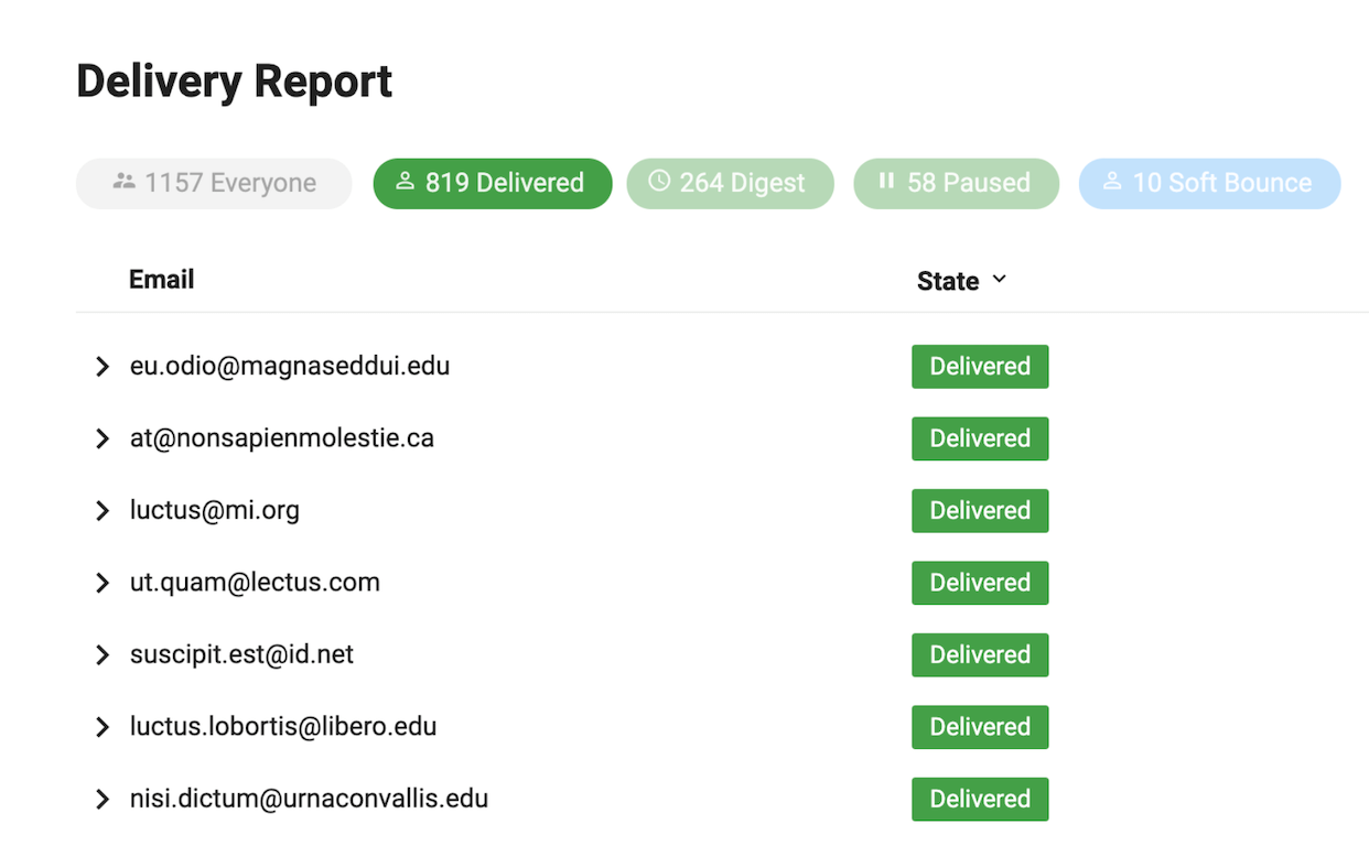 A delivery report for a group email discussion list